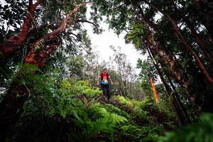 BIB: 
                            <button type="button" onclick="openModal(26202979)" class="btn btn-primary btn-sm float-right btn-popup" data-toggle="modal" data-target=".modal-high-quality">
                        <i class="fas fa-shopping-cart"></i> Add to Cart
                    </button>
                                            <button type="button" onclick="isThisMe(26202979, true)" class="btn btn-success btn-sm float-right btn-popup btn-isme hidden" data-toggle="tooltip" data-placement="bottom" title="นี่คือรูปของคุณใช่ไหม คลิกที่นี่เพื่อเอาเข้าอัลบั้ม">
                        <i class="fas fa-plus"></i> Add to album
                    </button>
                    <button type="button" onclick="isThisMe(26202979, false)" class="btn btn-warning btn-sm float-right btn-popup btn-isnotme hidden">
                        <i class="fas fa-ban"></i> Remove from album
                    </button>